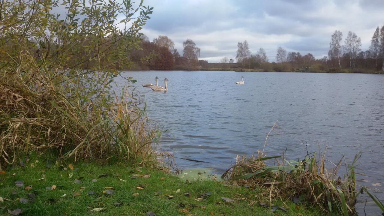 Wohnung Am Wald Witzeeze Esterno foto